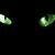 Cat-eyes